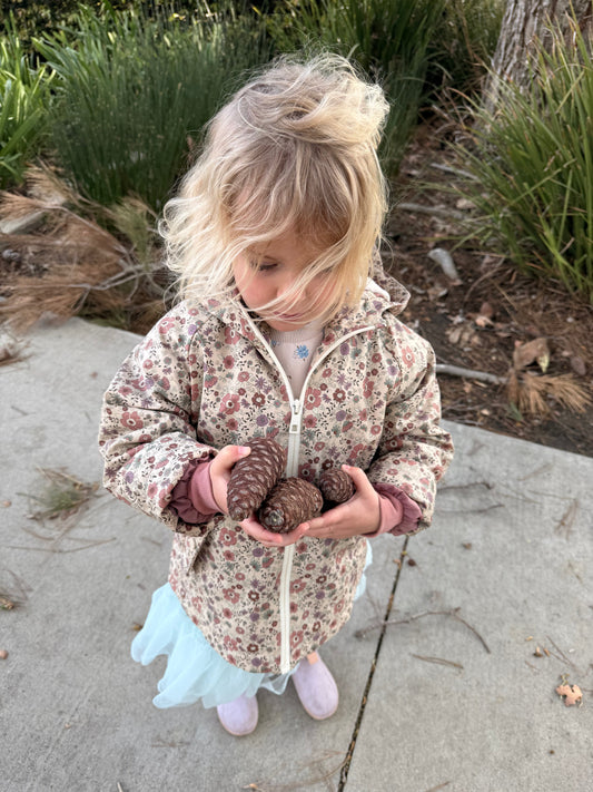 Child experiencing nature with pine cones in a Waldorf inspired outdoor moment