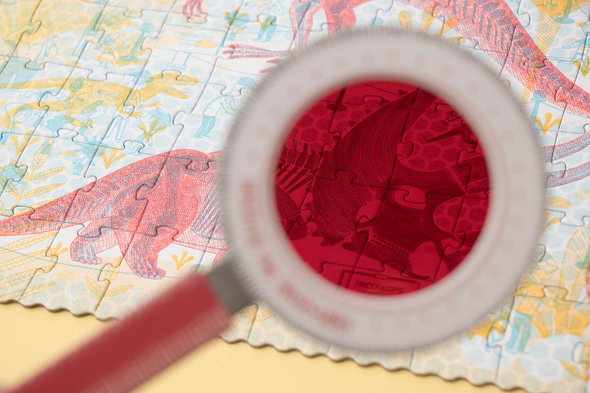 Discover the Dinosaurs puzzle dinosaur illustration detail
