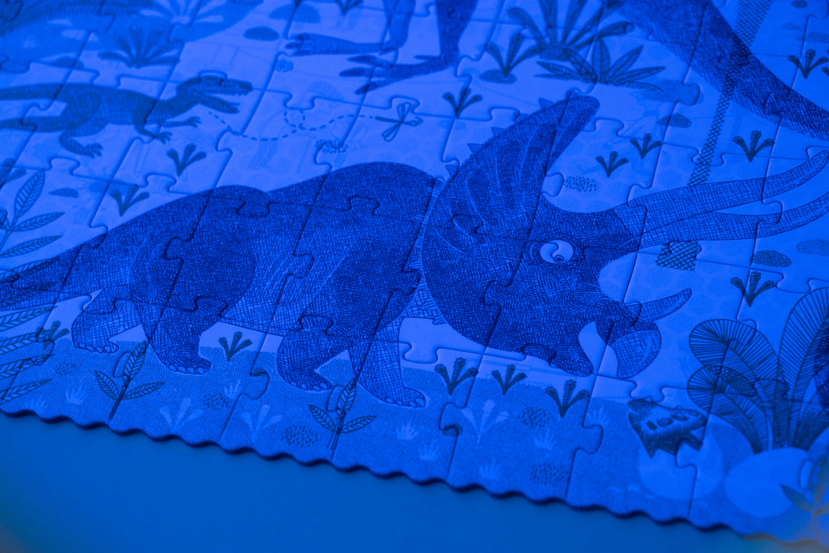 Discover the Dinosaurs puzzle pieces close-up