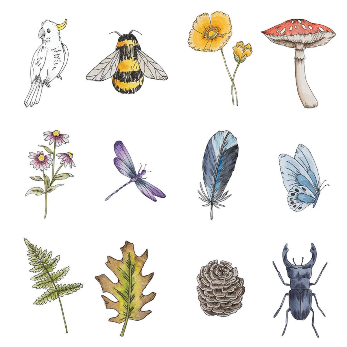 Wild Memory Card Game – Nature-Themed Matching Game (Ages 3+)