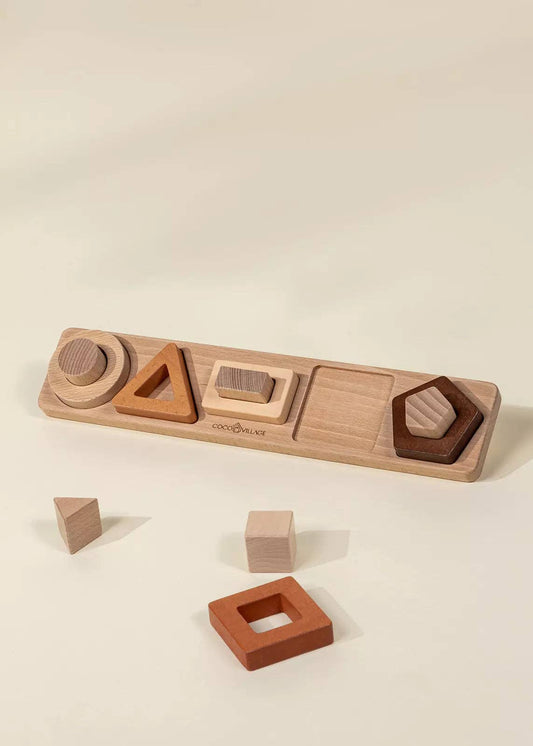 Wooden shapes puzzle pieces separated and displayed